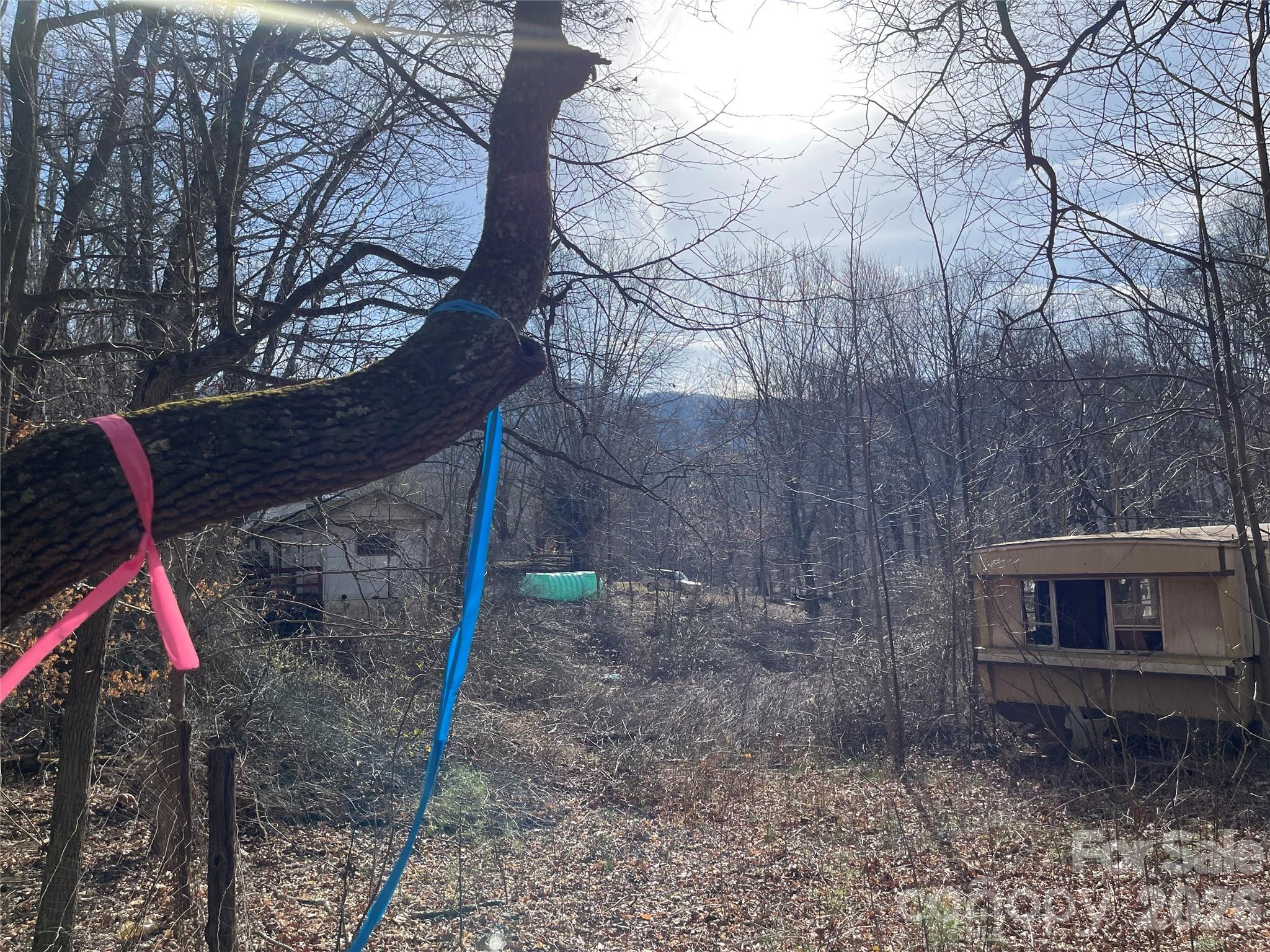 220 Max Metcalf Road Swannanoa NC 28778