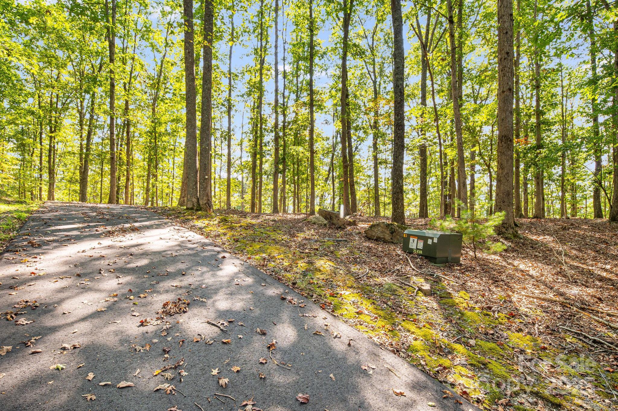 111 Wild Turkey Loop Marshall NC 28753