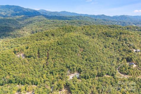 111 Wild Turkey Loop Marshall NC 28753