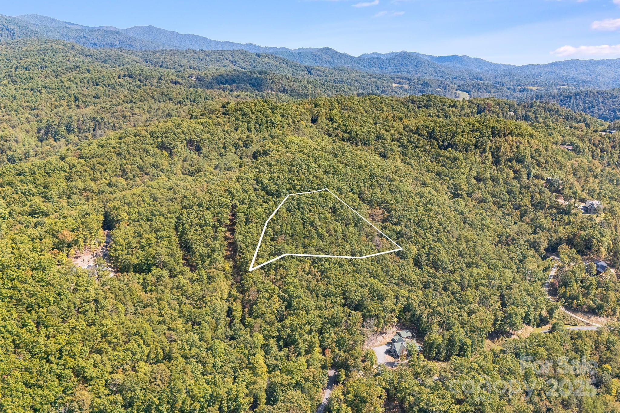 111 Wild Turkey Loop Marshall NC 28753