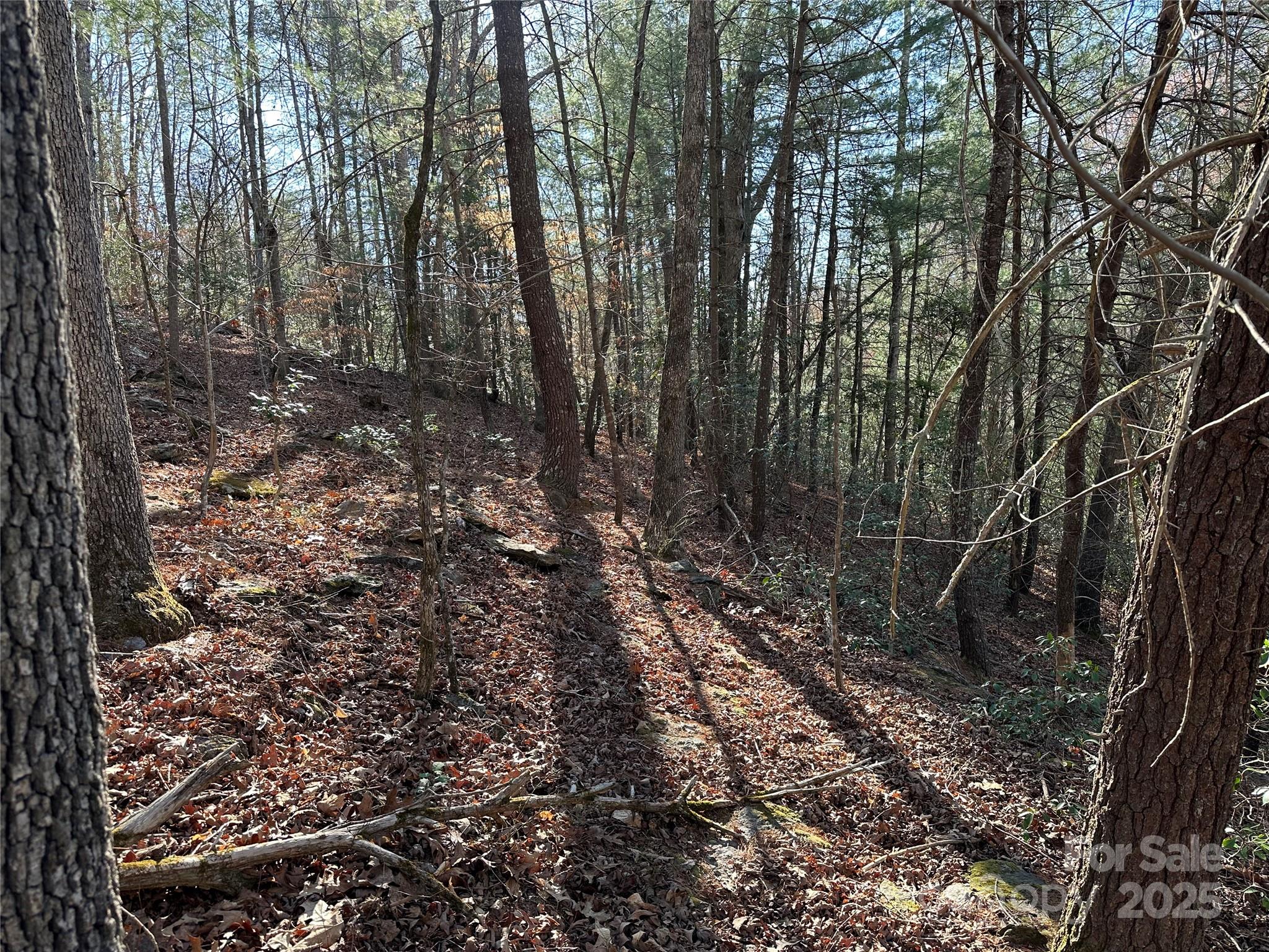 00 Goose Creek Drive Taylorsville NC 28681
