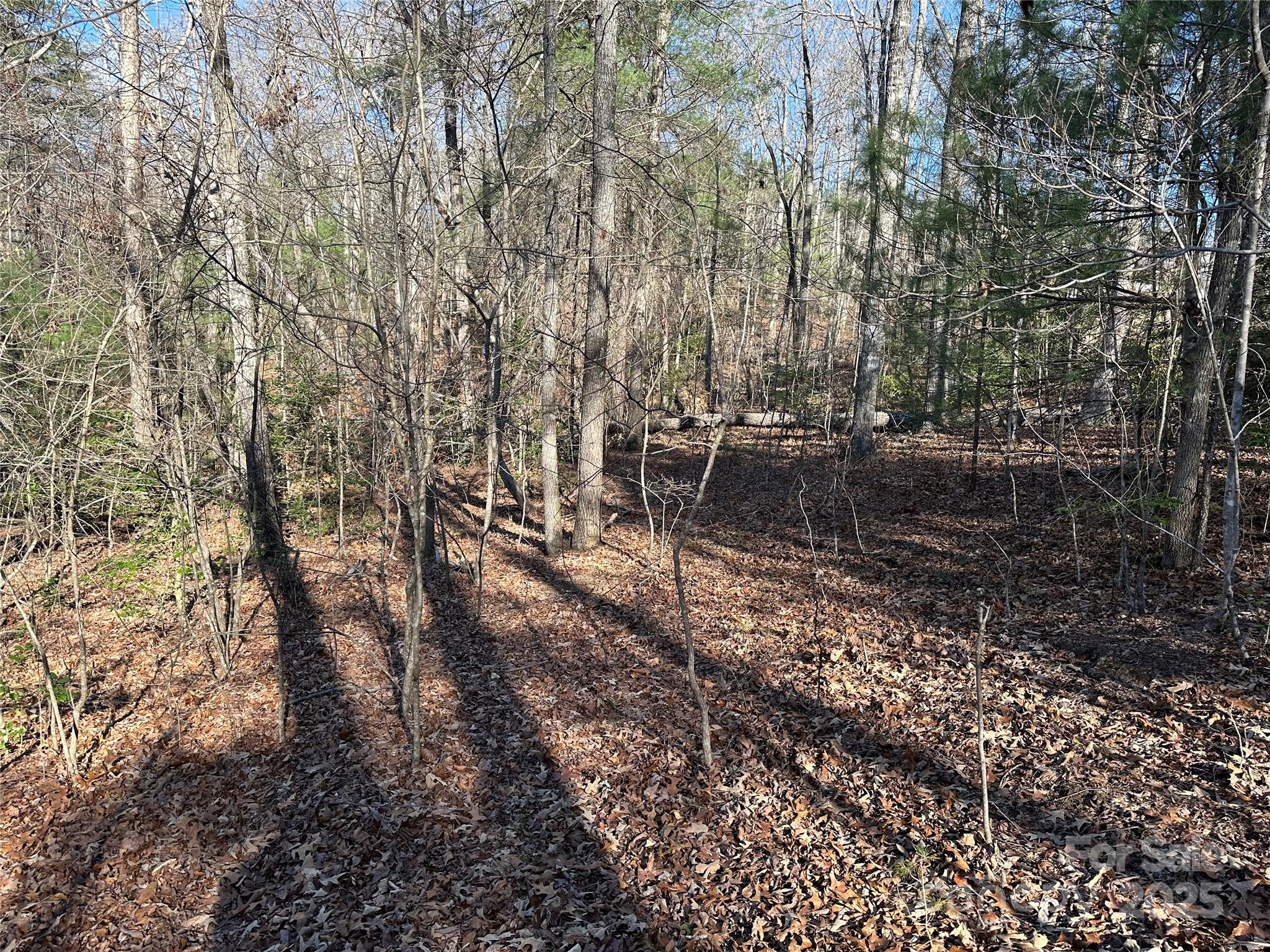 00 Goose Creek Drive Taylorsville NC 28681