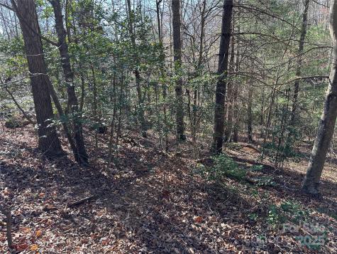 00 Goose Creek Drive Taylorsville NC 28681