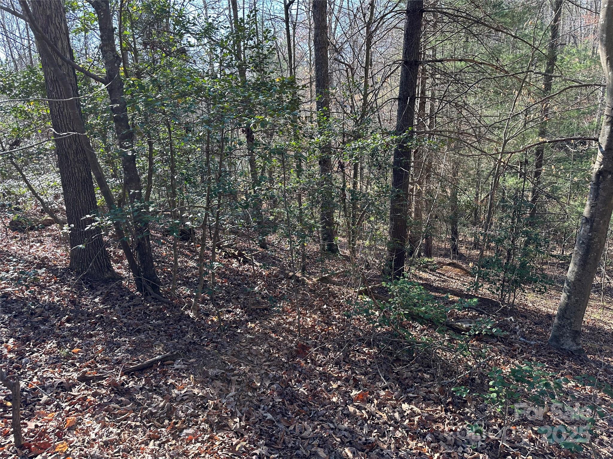 00 Goose Creek Drive Taylorsville NC 28681