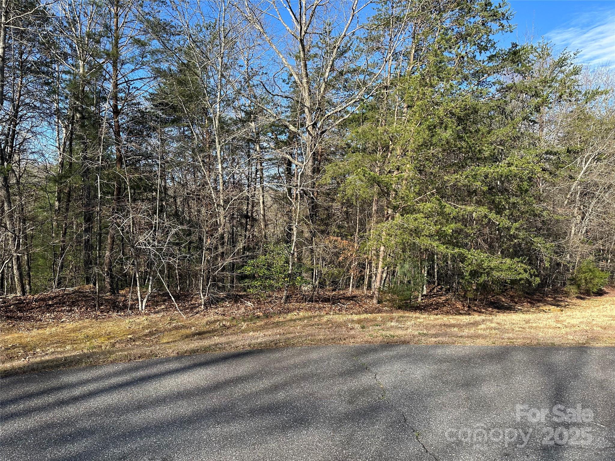 00 Goose Creek Drive Taylorsville NC 28681