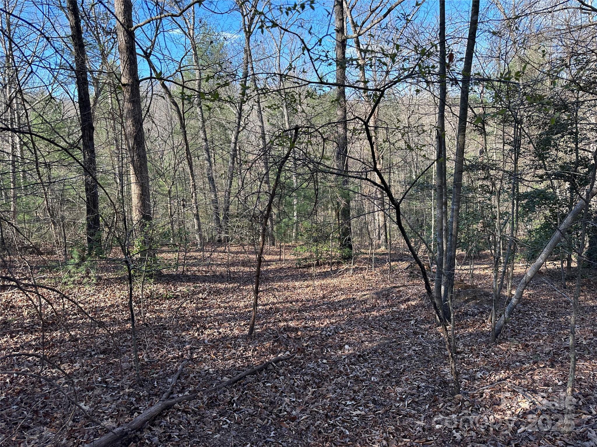 00 Goose Creek Drive Taylorsville NC 28681