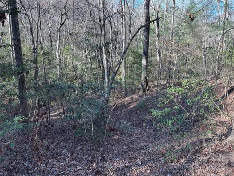 00 Goose Creek Drive Taylorsville NC 28681