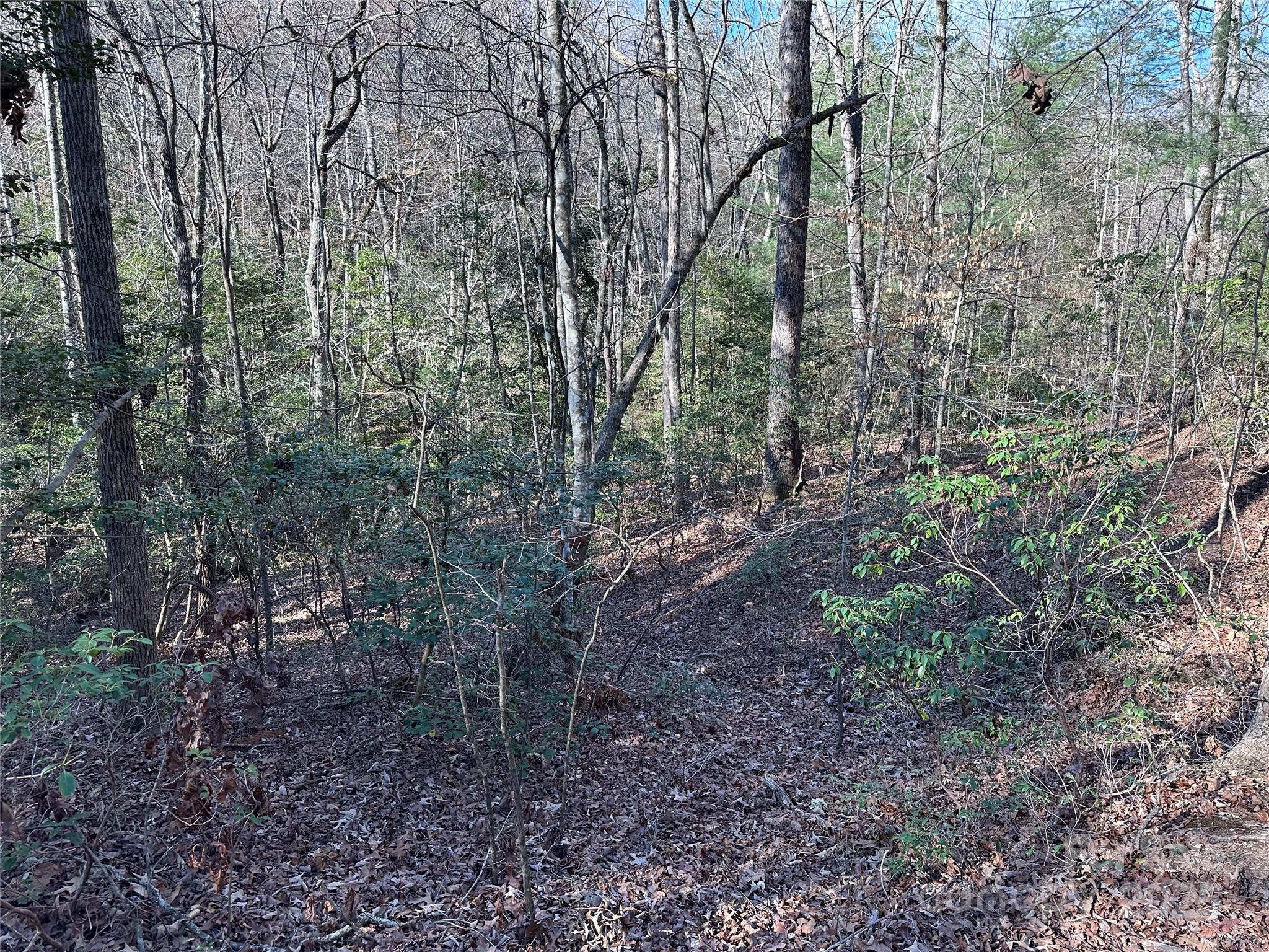 00 Goose Creek Drive Taylorsville NC 28681