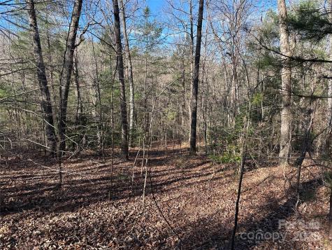 00 Goose Creek Drive Taylorsville NC 28681