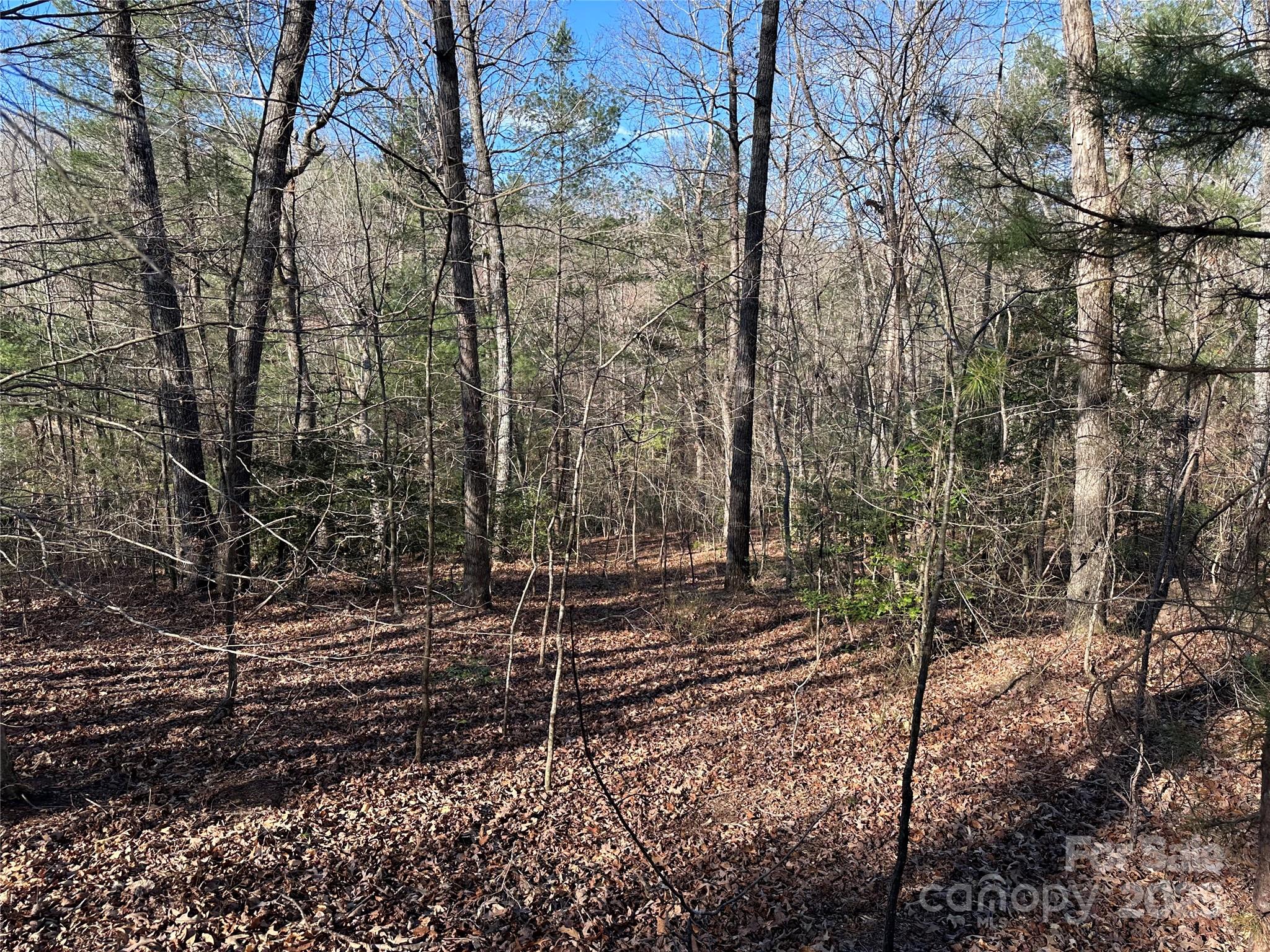 00 Goose Creek Drive Taylorsville NC 28681