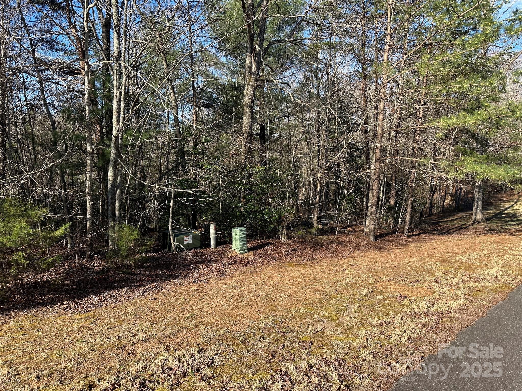 00 Goose Creek Drive Taylorsville NC 28681