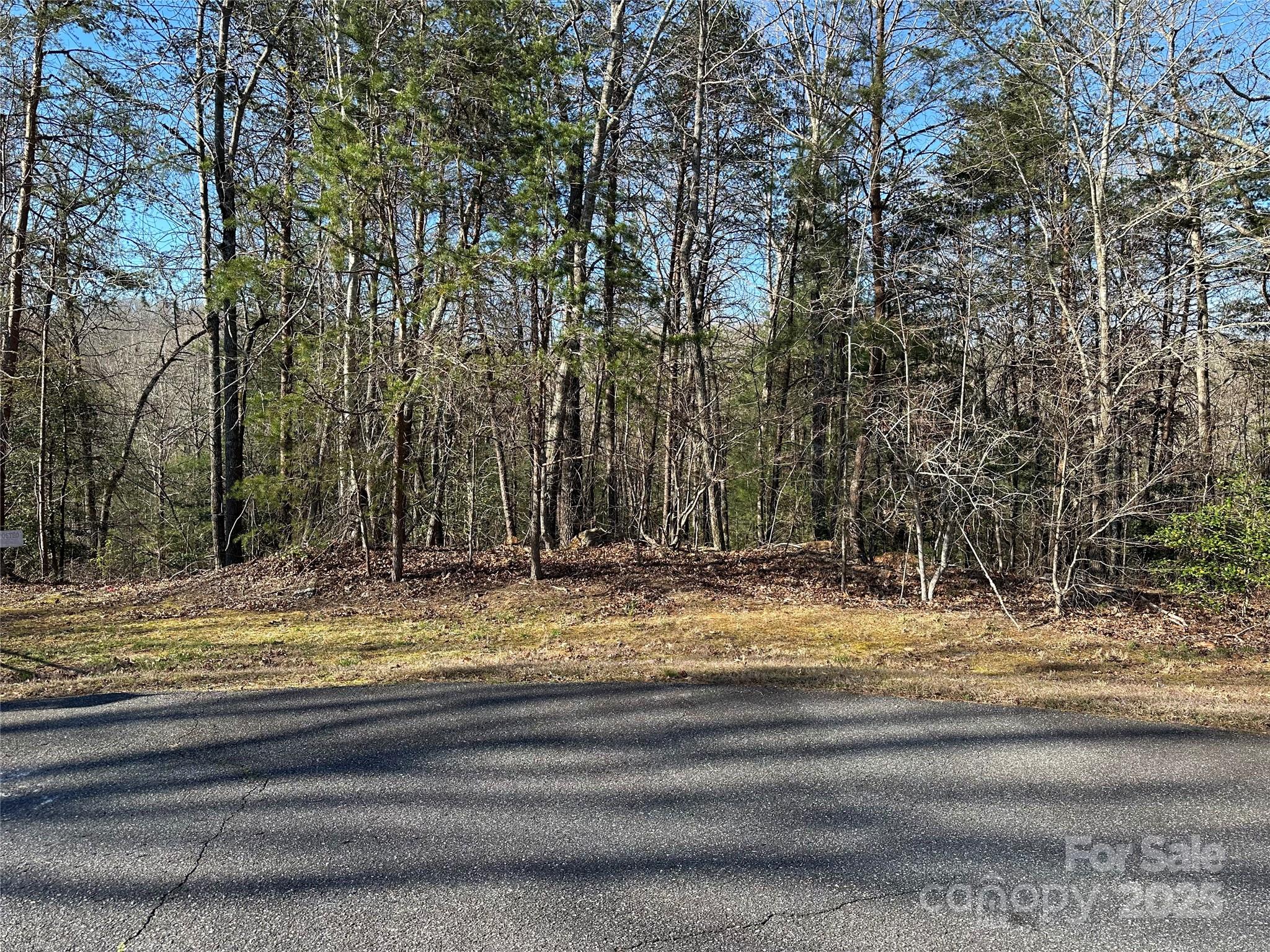 00 Goose Creek Drive Taylorsville NC 28681