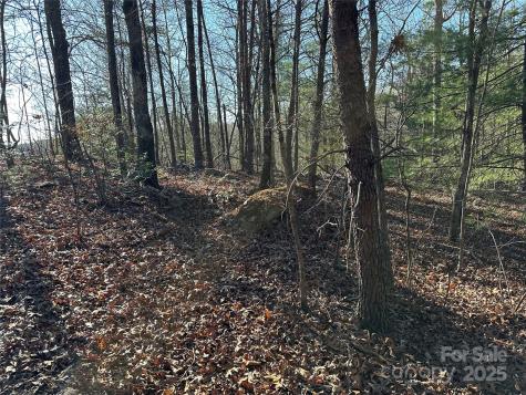00 Goose Creek Drive Taylorsville NC 28681