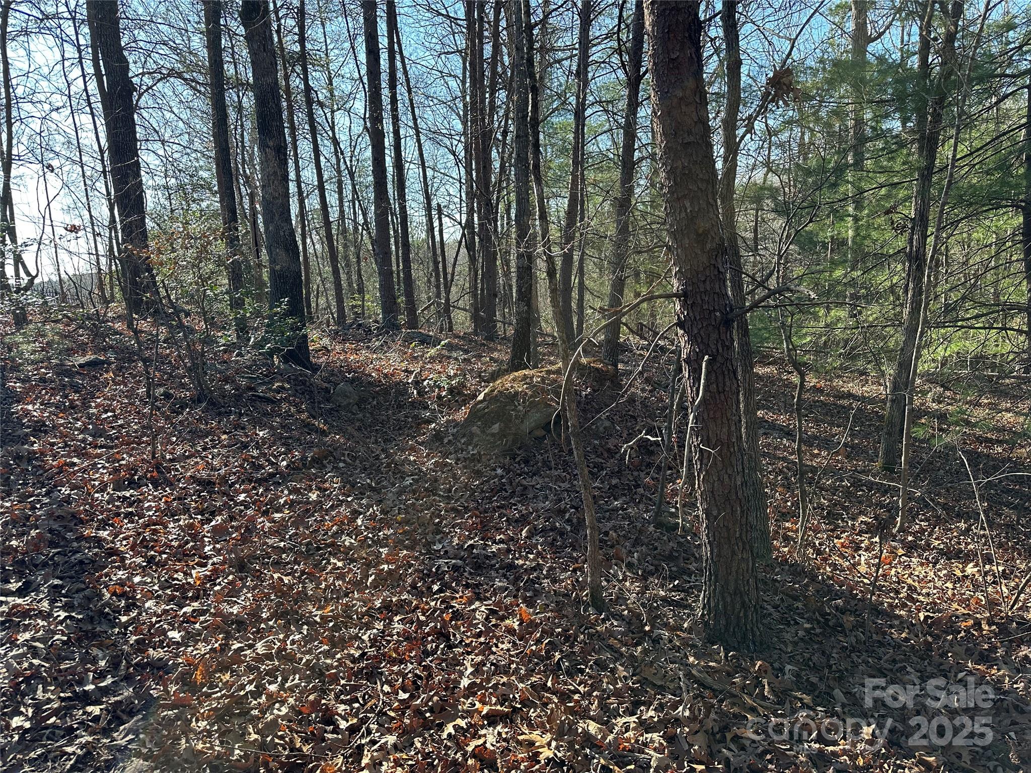 00 Goose Creek Drive Taylorsville NC 28681