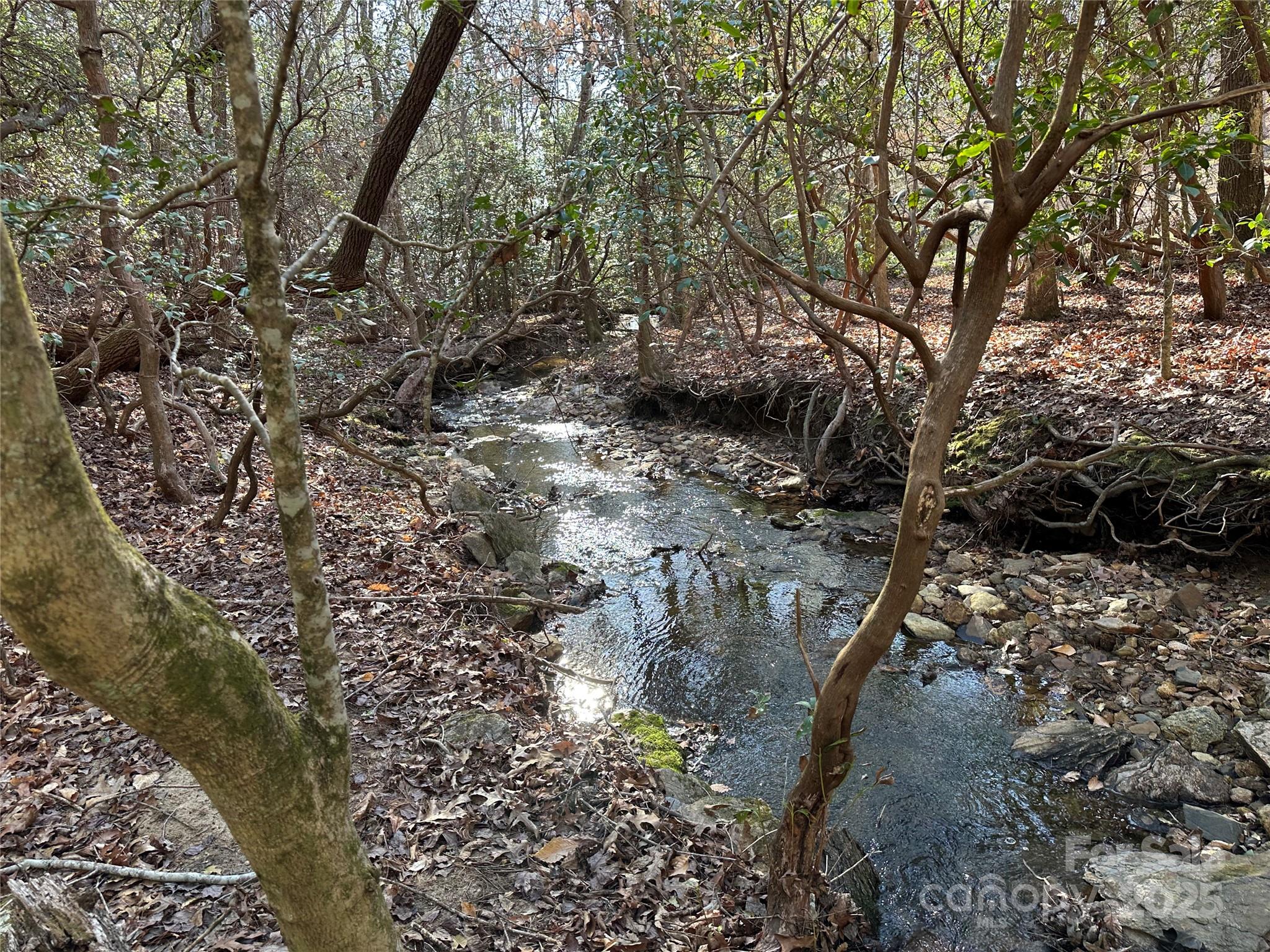 00 Goose Creek Drive Taylorsville NC 28681
