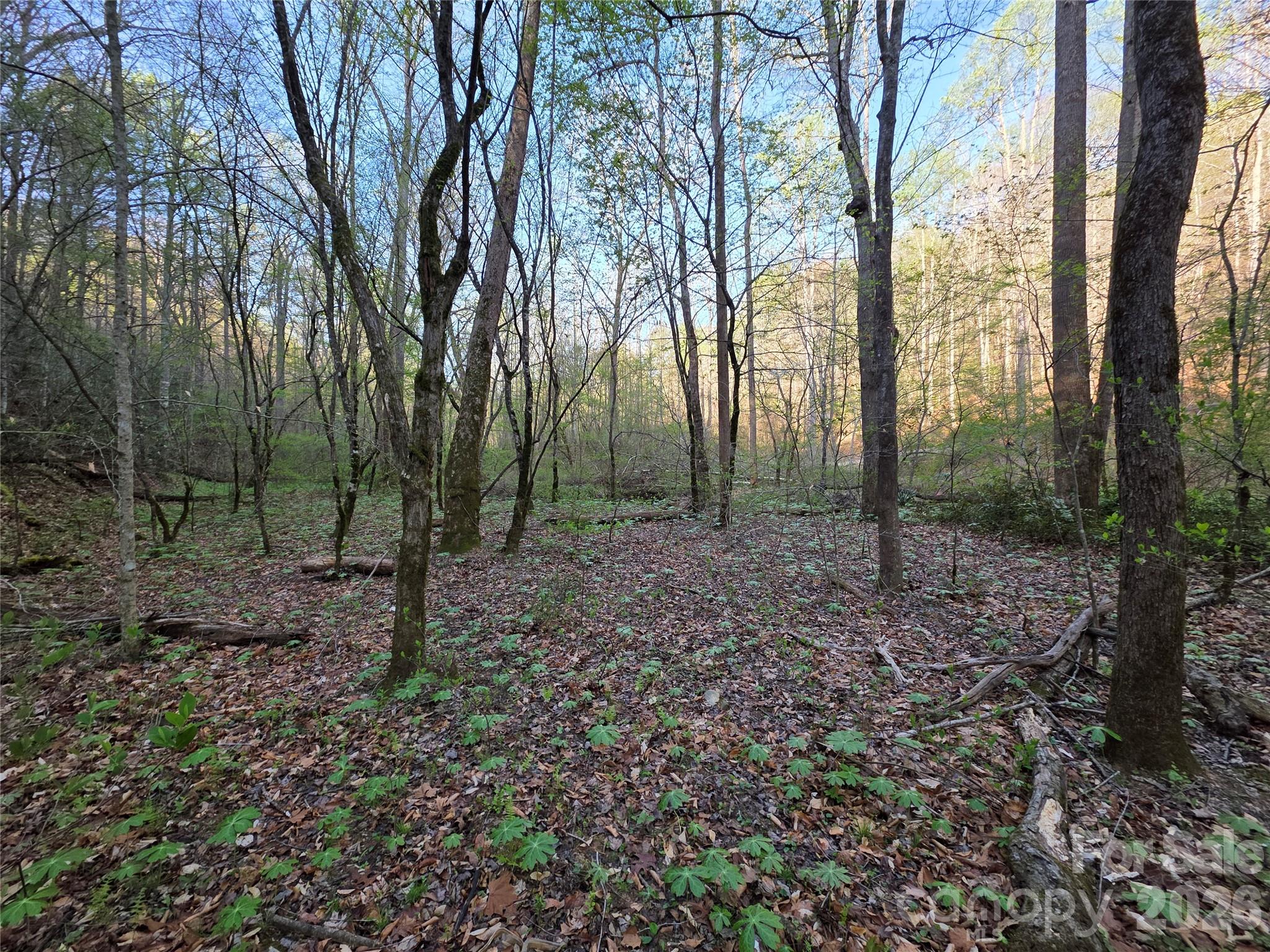 00 Mountain Creek Way Marion NC 28752