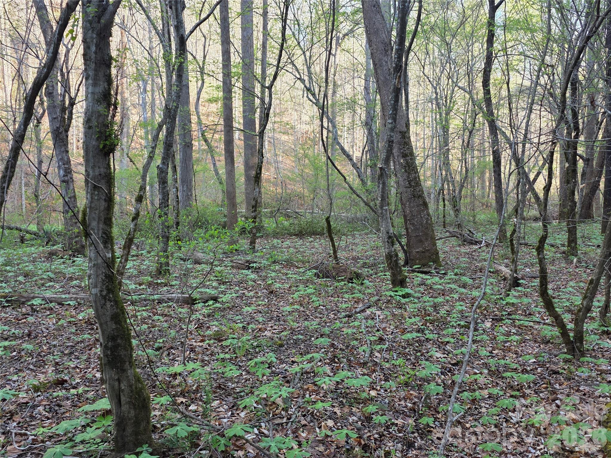00 Mountain Creek Way Marion NC 28752
