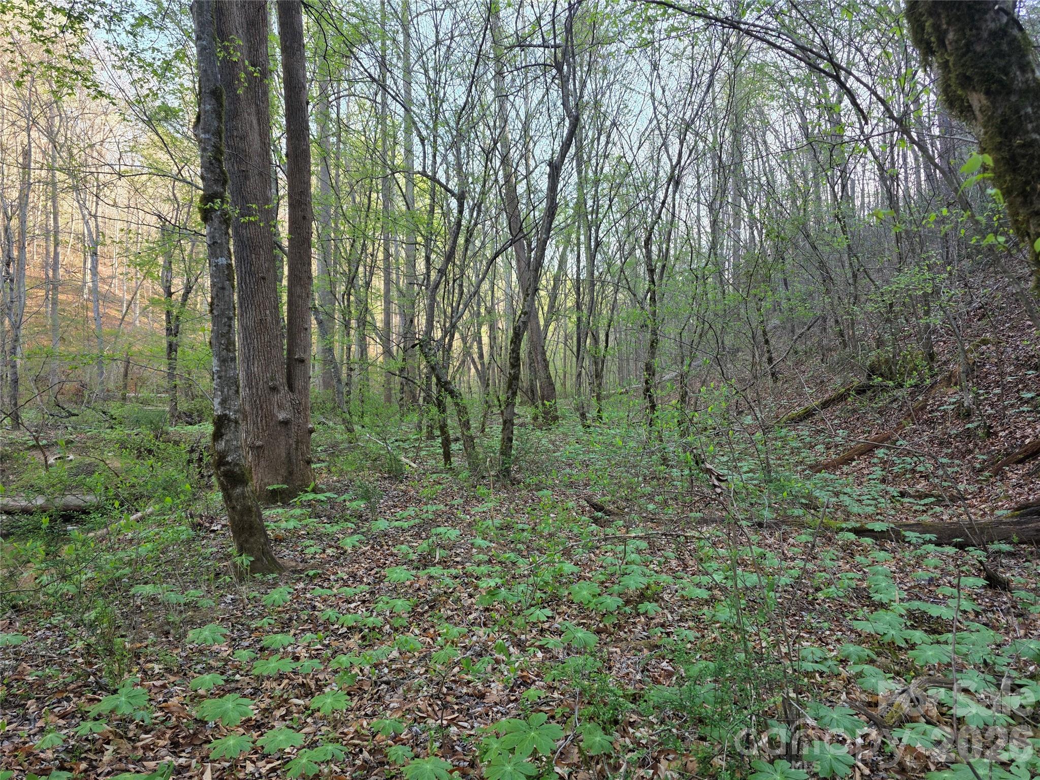 00 Mountain Creek Way Marion NC 28752
