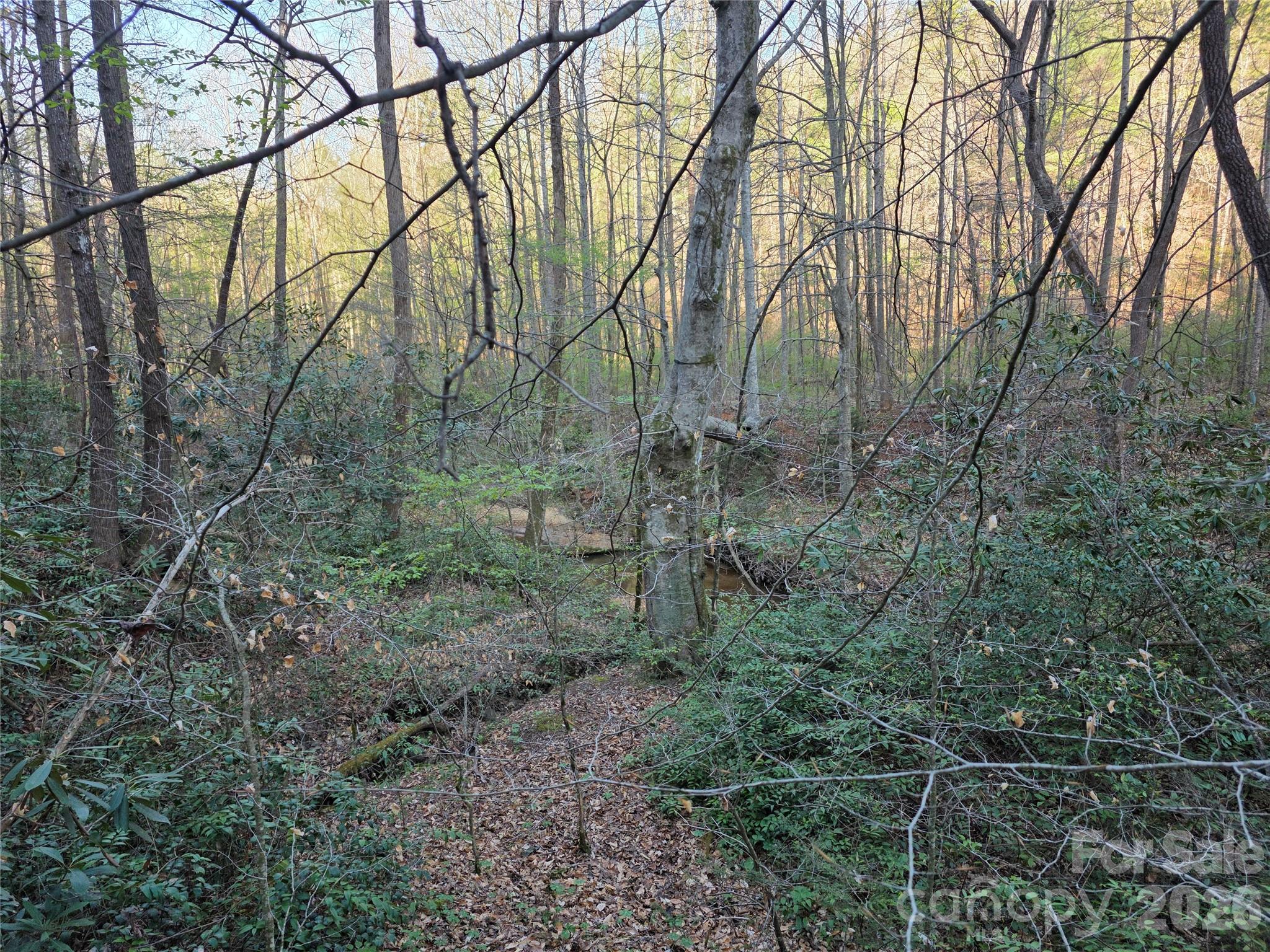 00 Mountain Creek Way Marion NC 28752