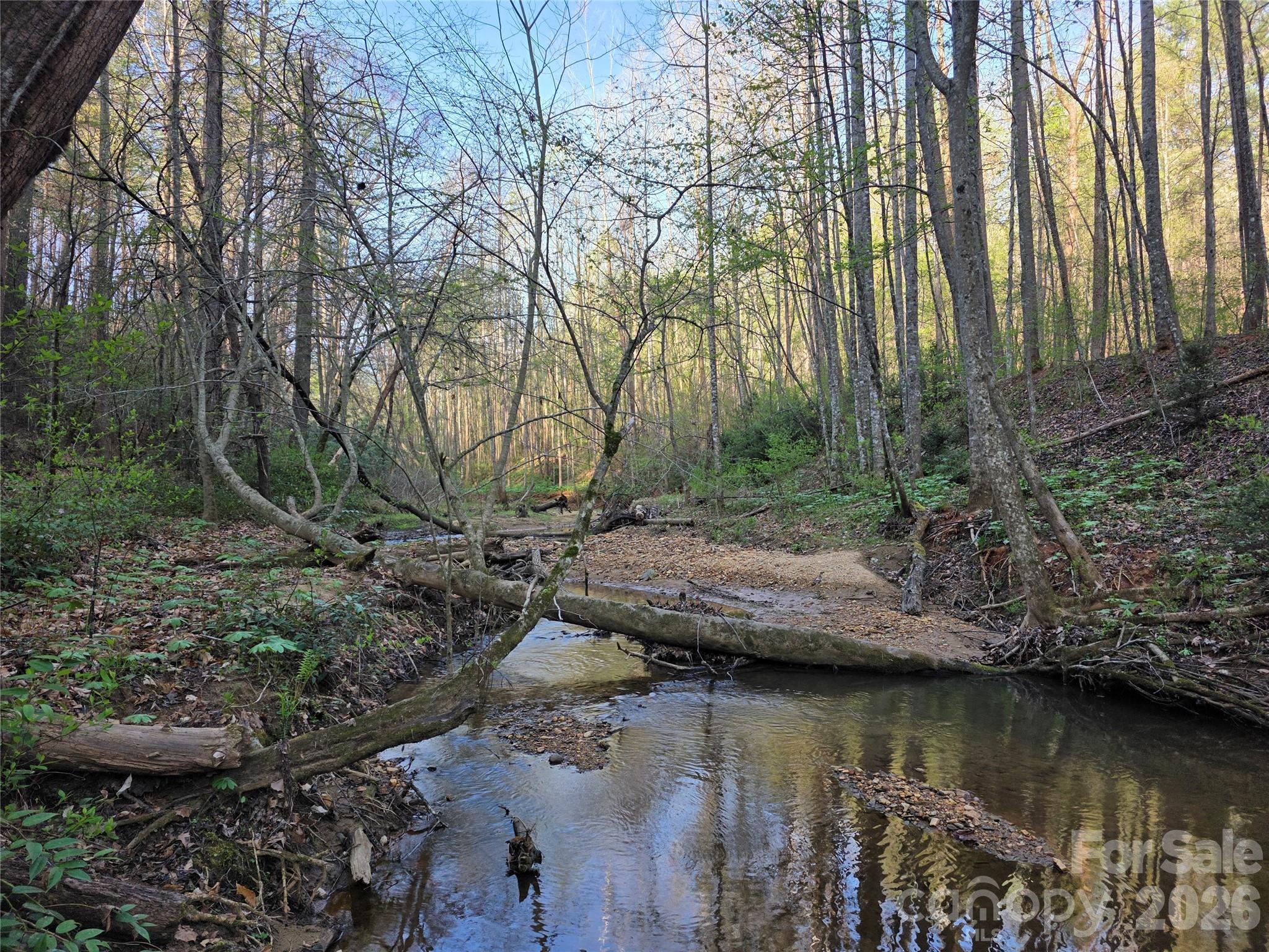 00 Mountain Creek Way Marion NC 28752