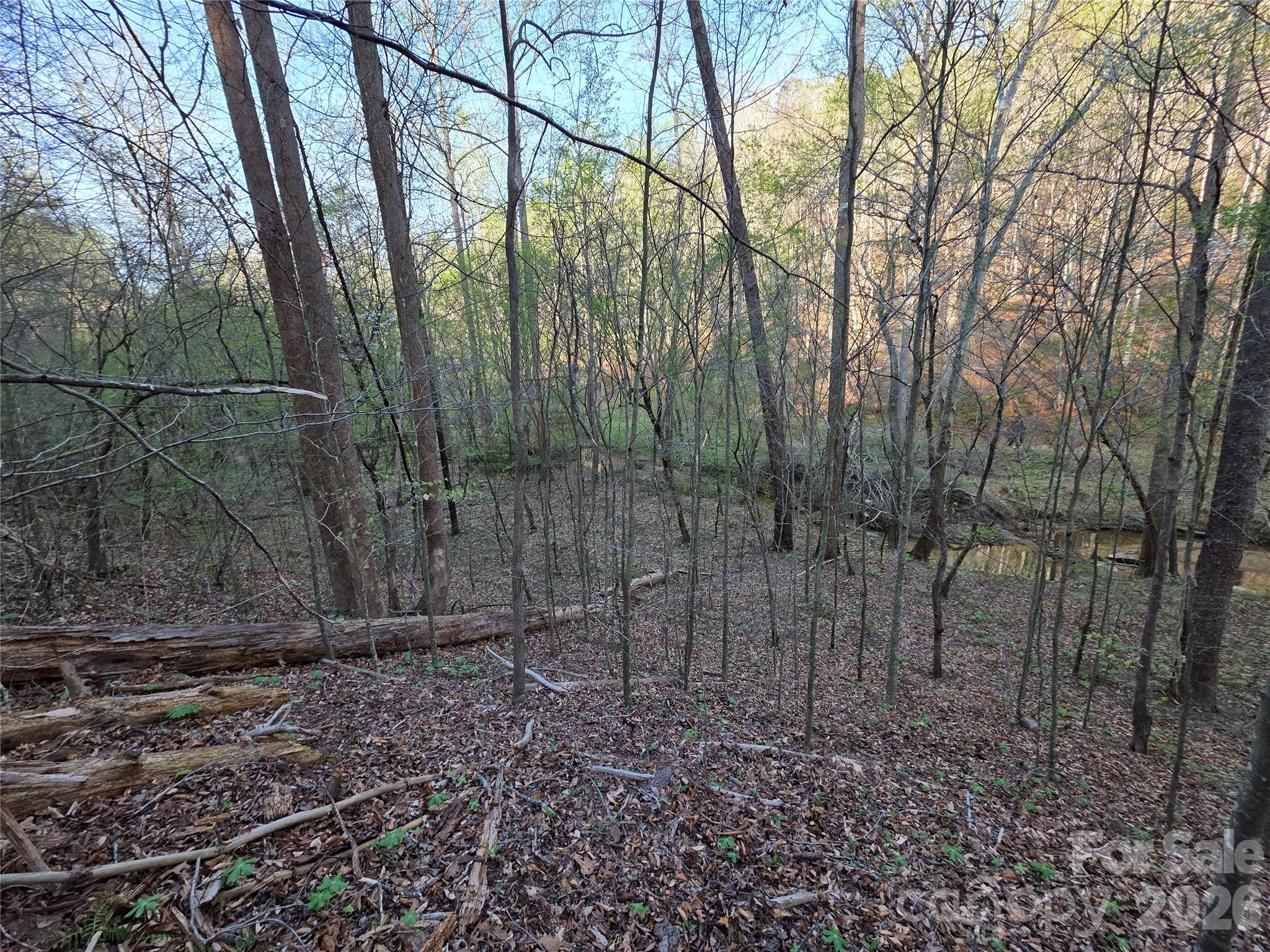 00 Mountain Creek Way Marion NC 28752