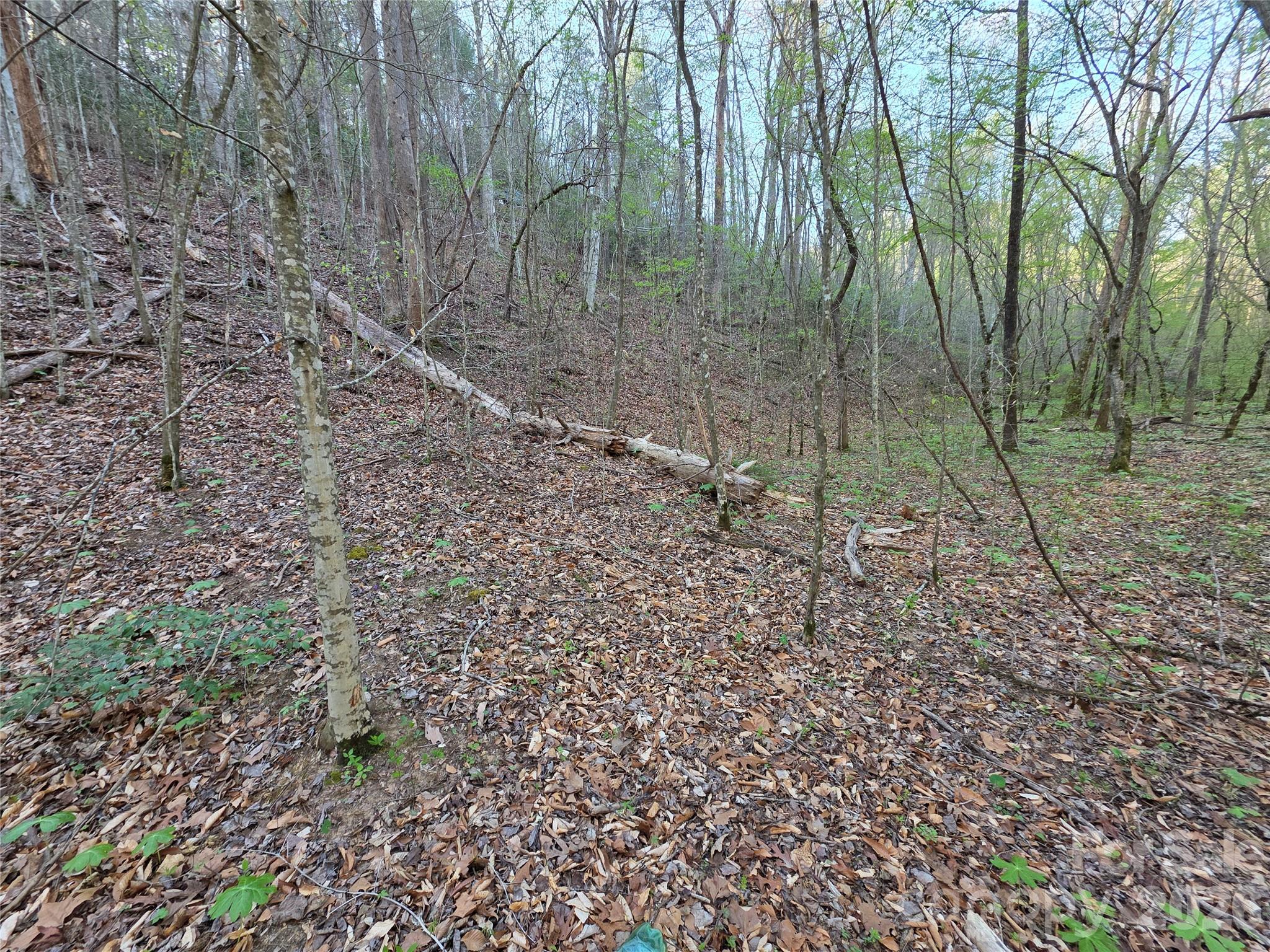 00 Mountain Creek Way Marion NC 28752