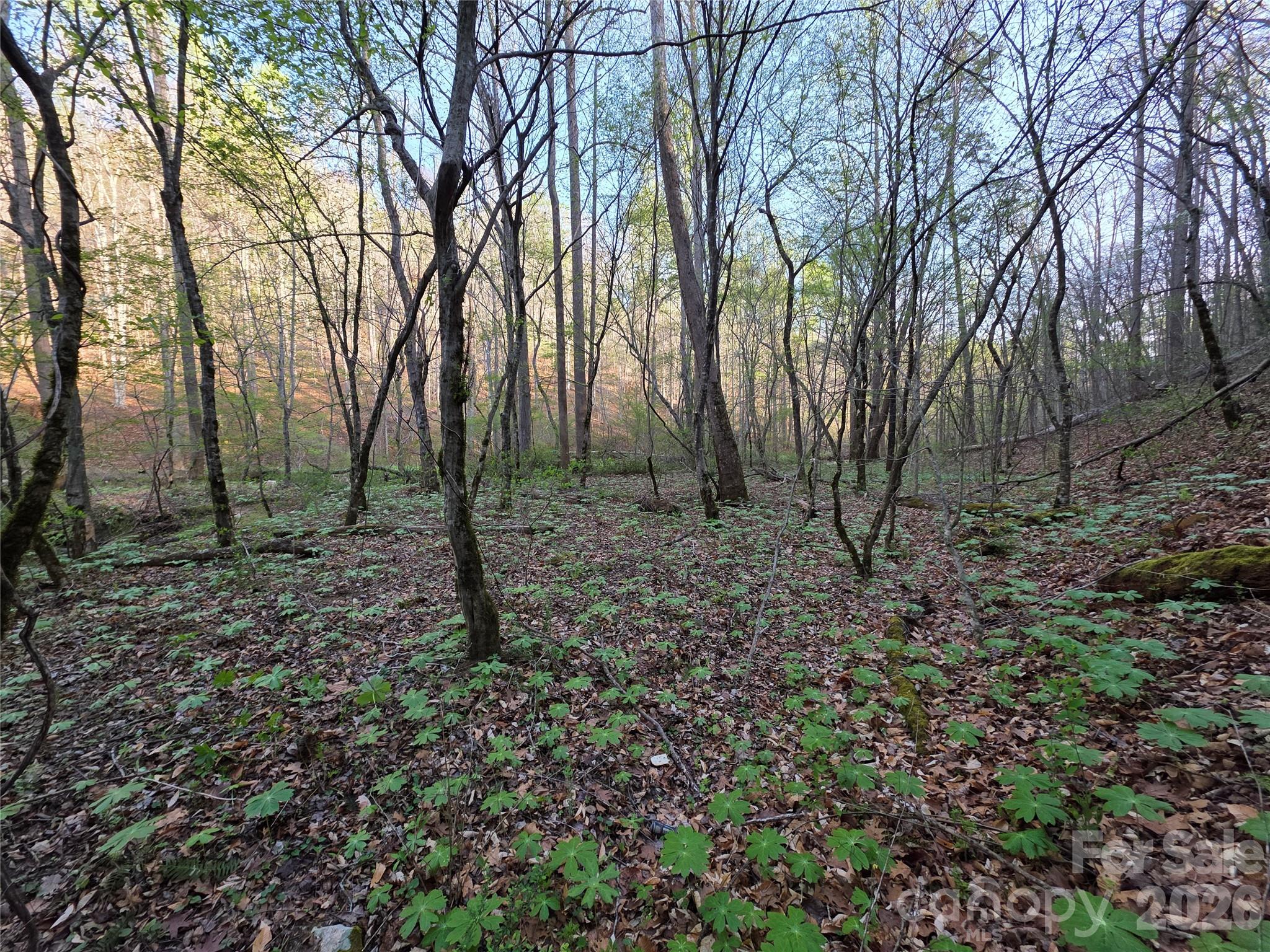 00 Mountain Creek Way Marion NC 28752