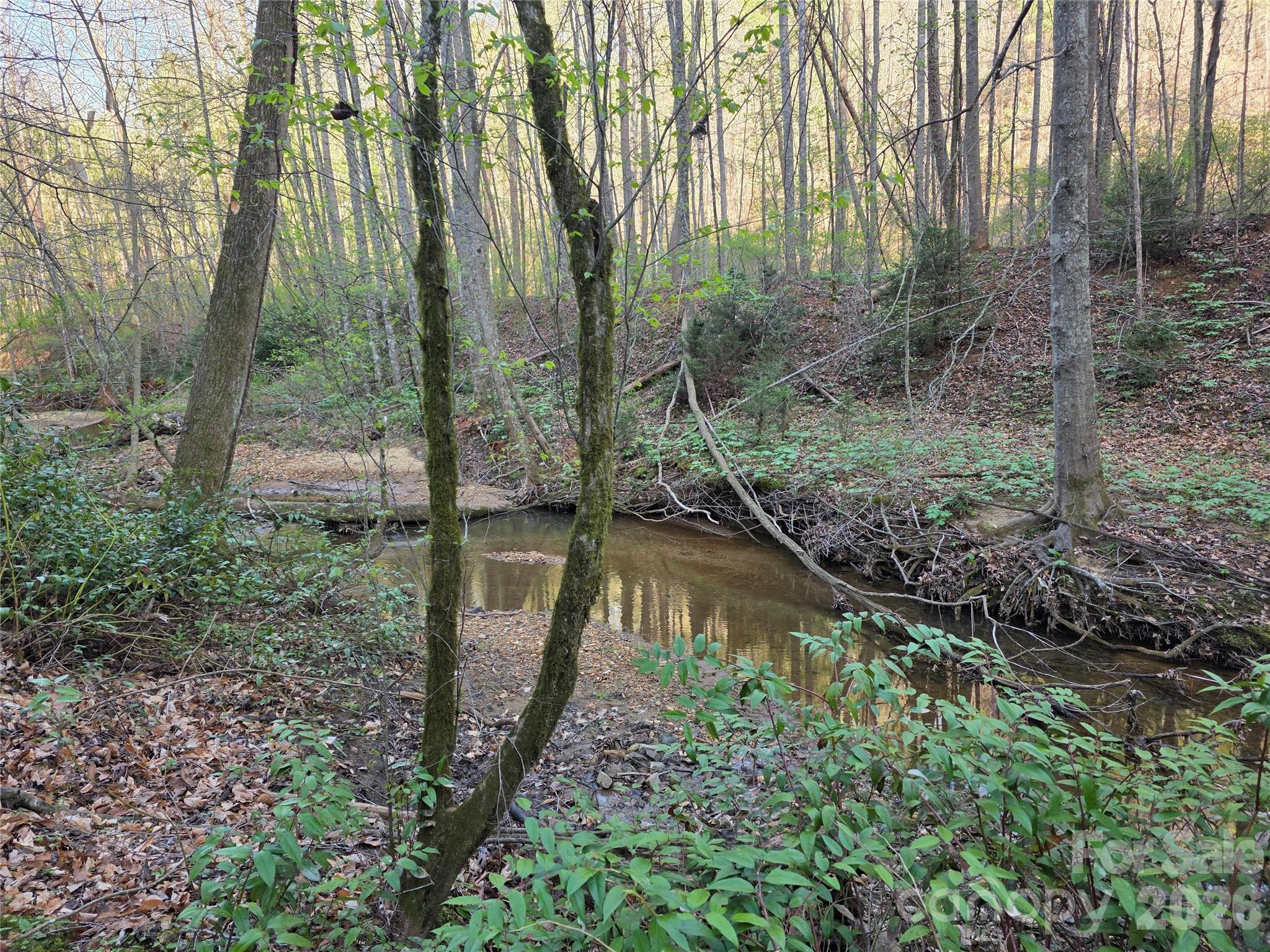 00 Mountain Creek Way Marion NC 28752