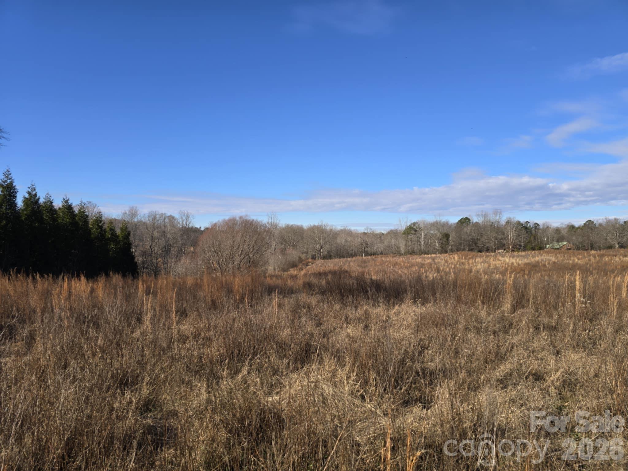 Tbd Sandy Springs Road Rutherfordton NC 28139