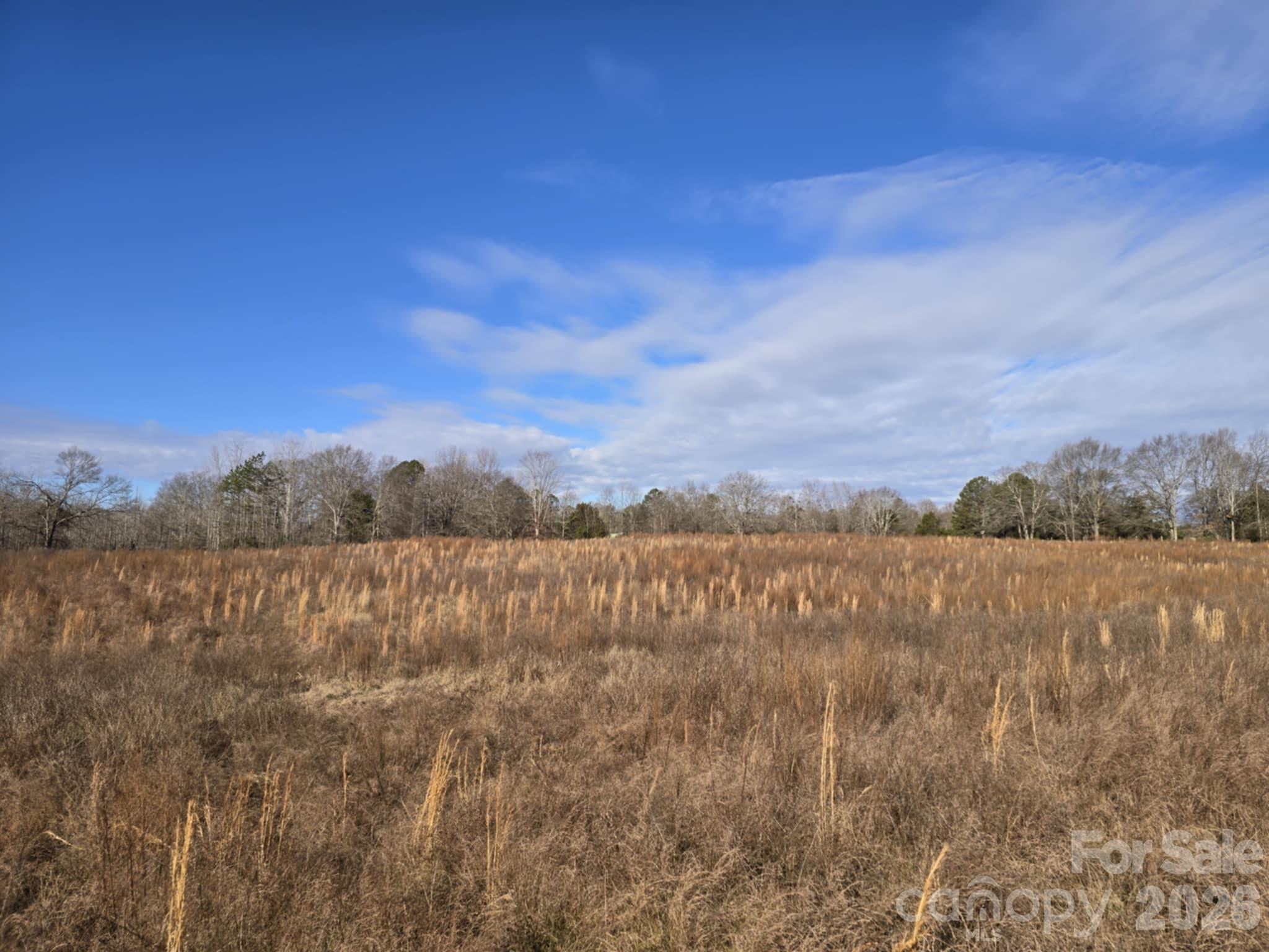 Tbd Sandy Springs Road Rutherfordton NC 28139
