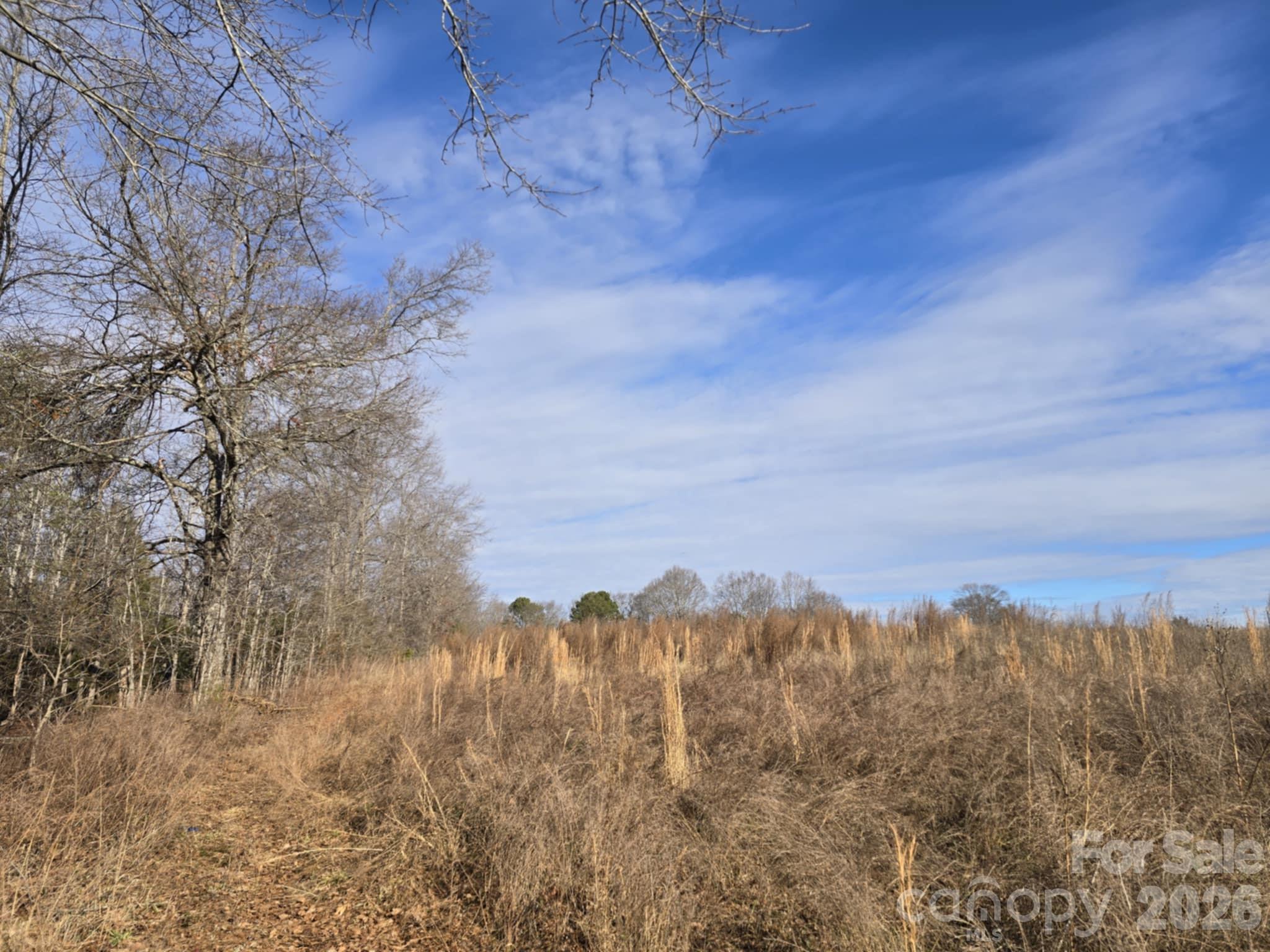 Tbd Sandy Springs Road Rutherfordton NC 28139