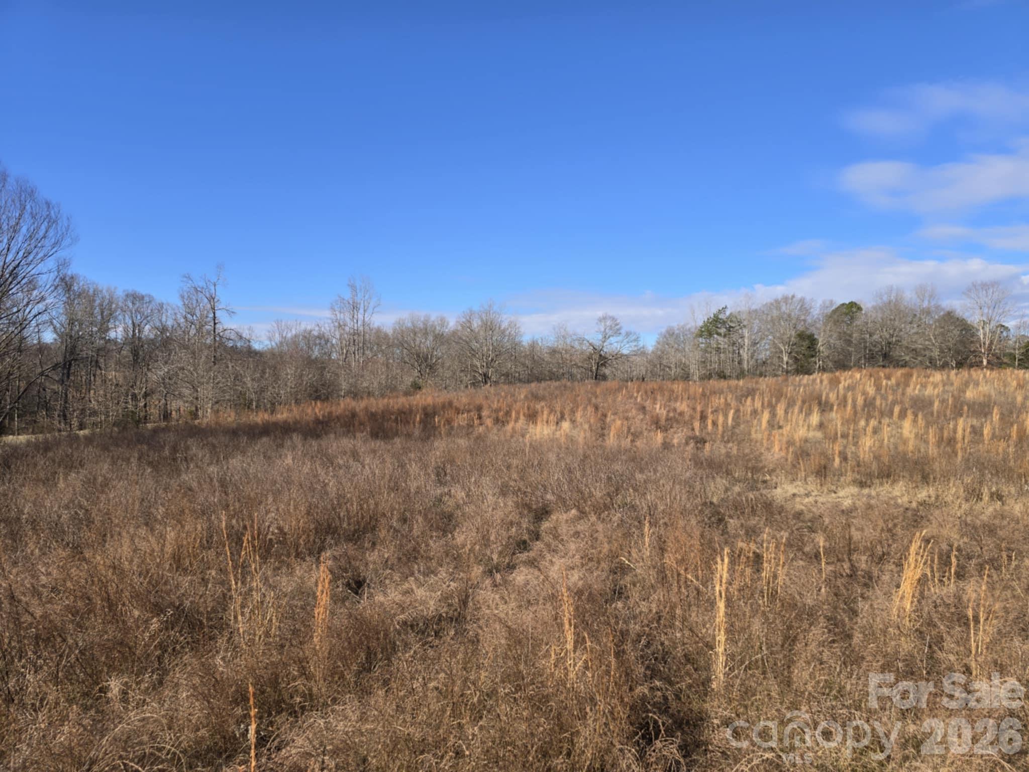 Tbd Sandy Springs Road Rutherfordton NC 28139