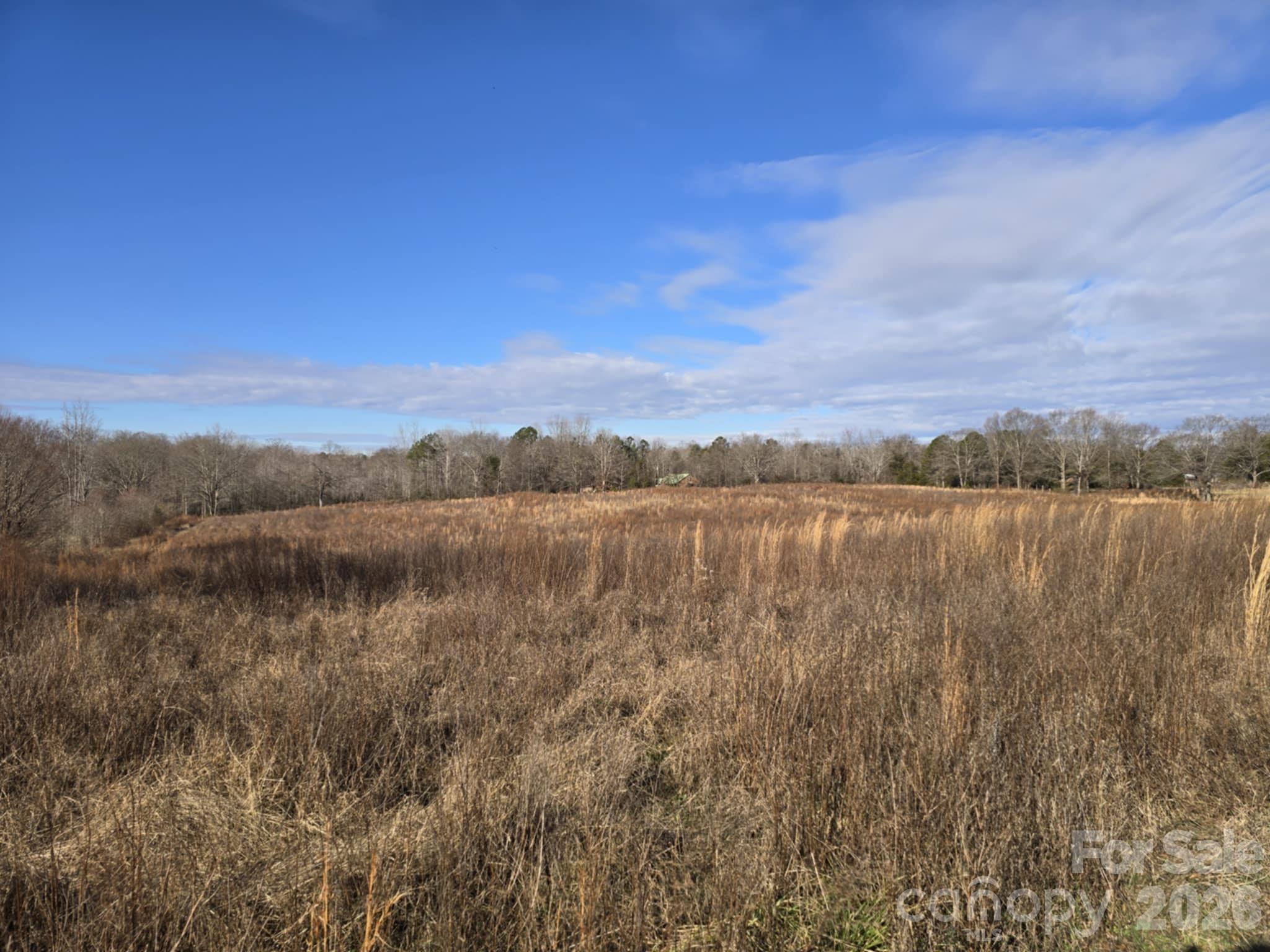 Tbd Sandy Springs Road Rutherfordton NC 28139