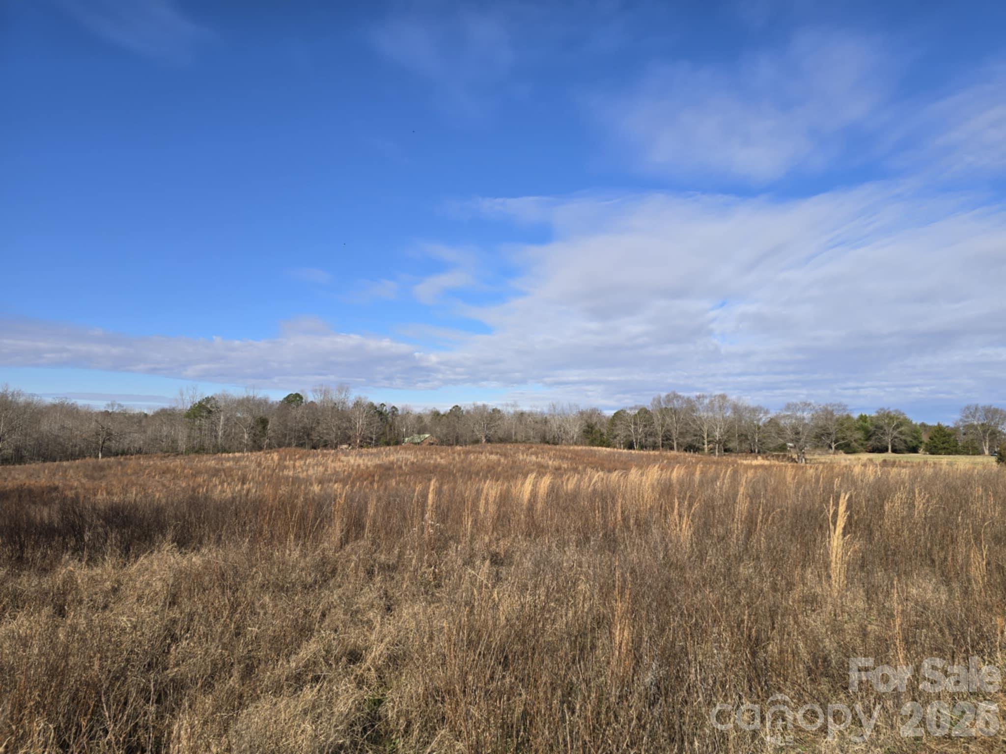 Tbd Sandy Springs Road Rutherfordton NC 28139