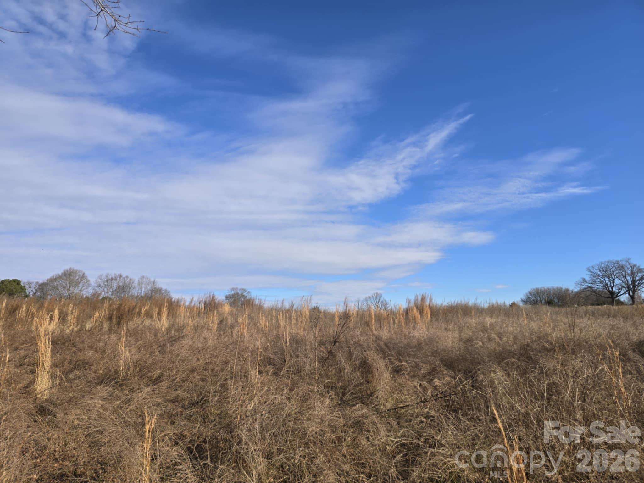 Tbd Sandy Springs Road Rutherfordton NC 28139