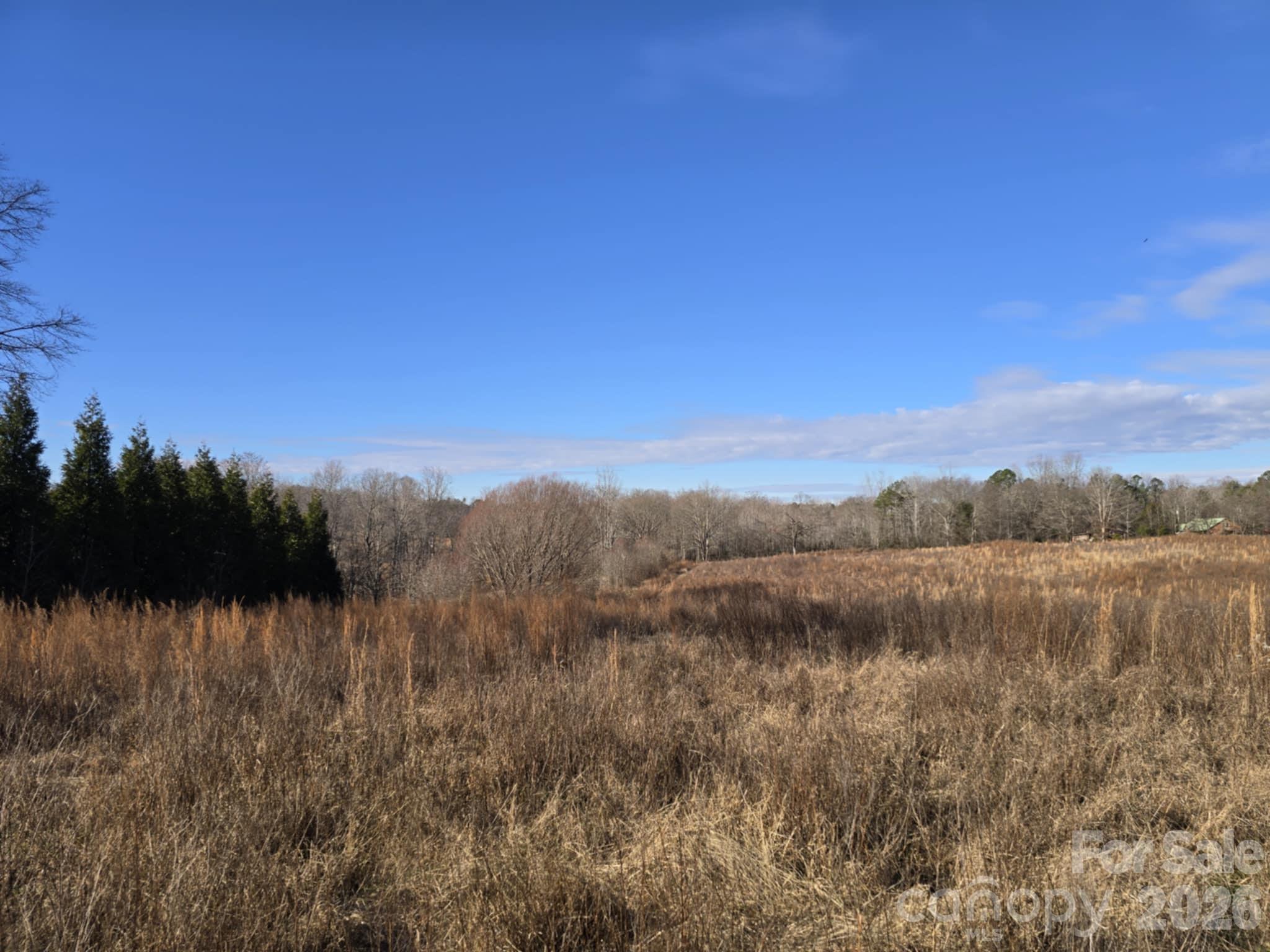 Tbd Sandy Springs Road Rutherfordton NC 28139