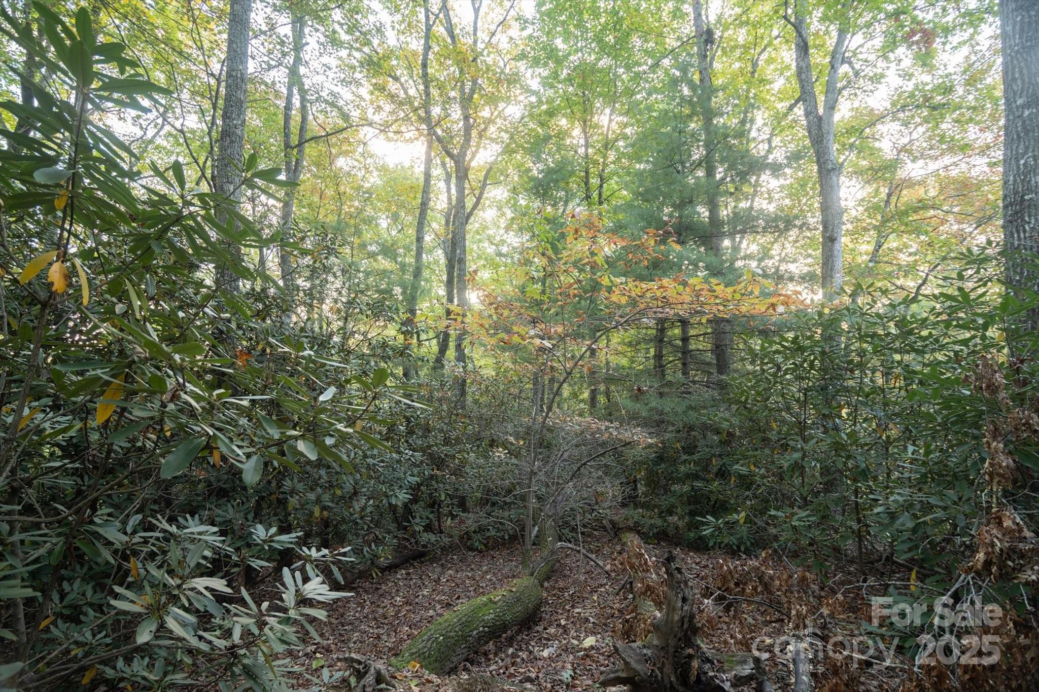 Tbd Pine Mountain Trail Brevard NC 28712