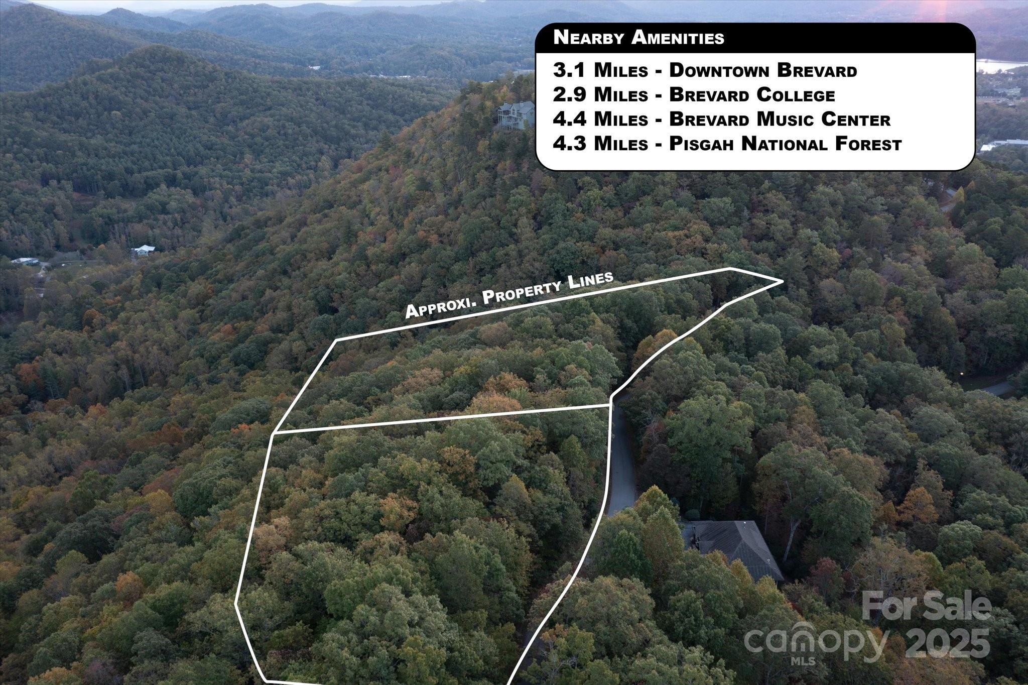 Tbd Pine Mountain Trail Brevard NC 28712