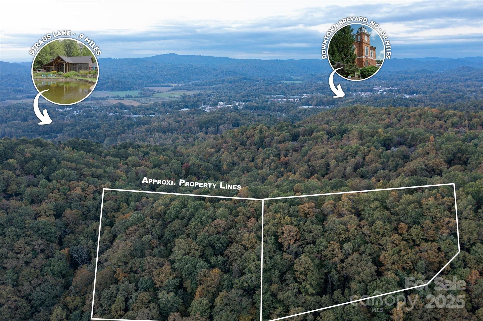 Tbd Pine Mountain Trail Brevard NC 28712