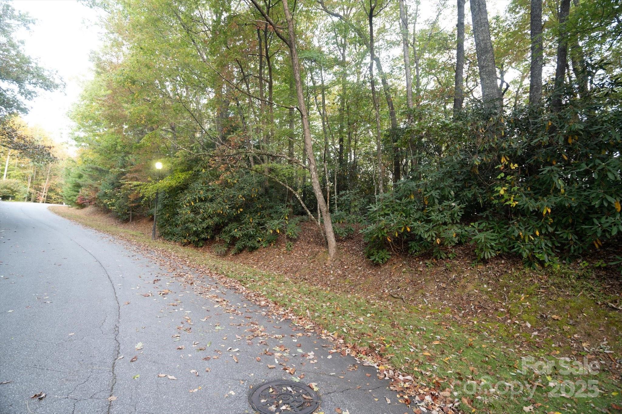 Tbd Pine Mountain Trail Brevard NC 28712