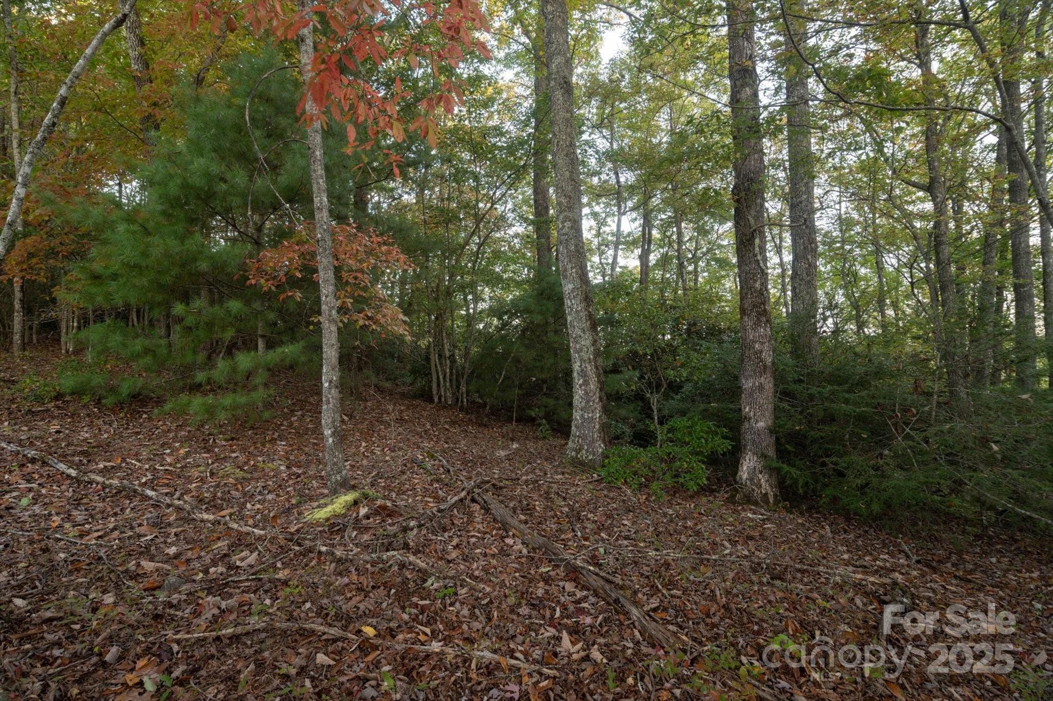 Tbd Pine Mountain Trail Brevard NC 28712