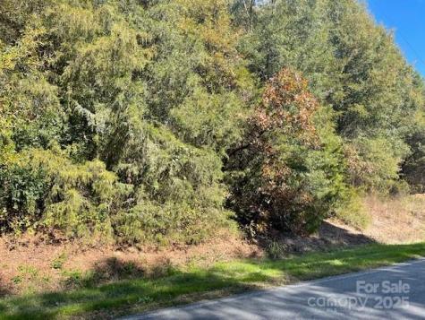 0 Deep Springs Road Peachland NC 28133
