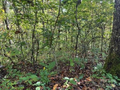 H16-H17 Shady Grove Road Tuckasegee NC 28783