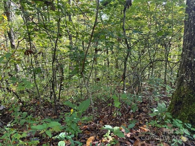 H16-H17 Shady Grove Road Tuckasegee NC 28783