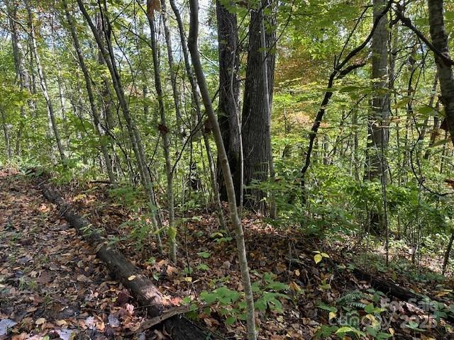 H16-H17 Shady Grove Road Tuckasegee NC 28783
