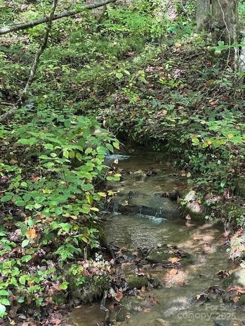 H16-H17 Shady Grove Road Tuckasegee NC 28783