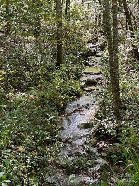 H16-H17 Shady Grove Road Tuckasegee NC 28783