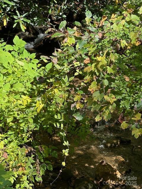 H16-H17 Shady Grove Road Tuckasegee NC 28783