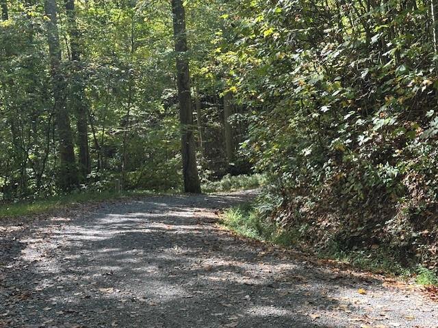 H16-H17 Shady Grove Road Tuckasegee NC 28783