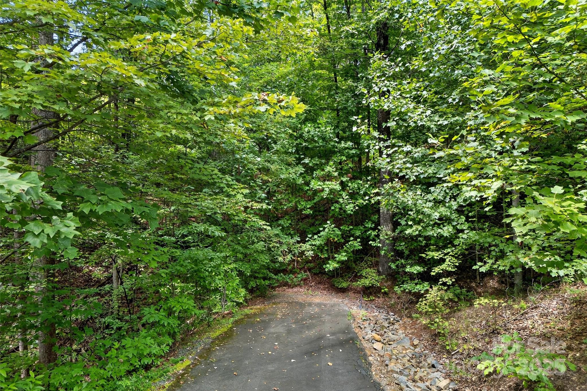 100 Comet Falls Trail Black Mountain NC 28711